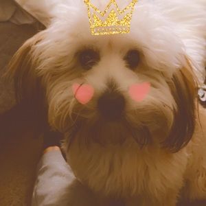 Meet your Posher, Monique